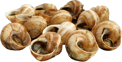 escargot