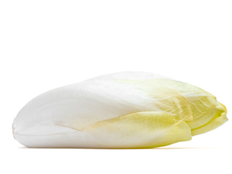 belgian endive