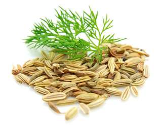 fennel seeds