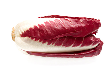 red belgian endive