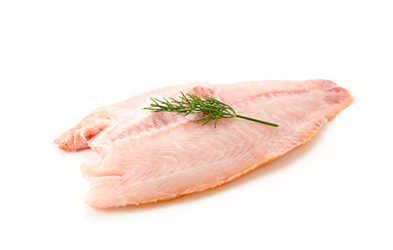 Tilapia