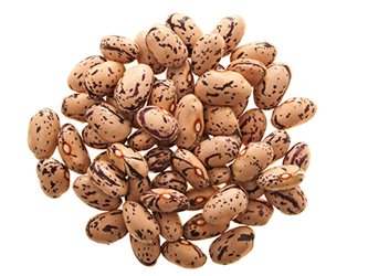 Dried pinto beans