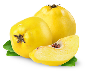 Quince